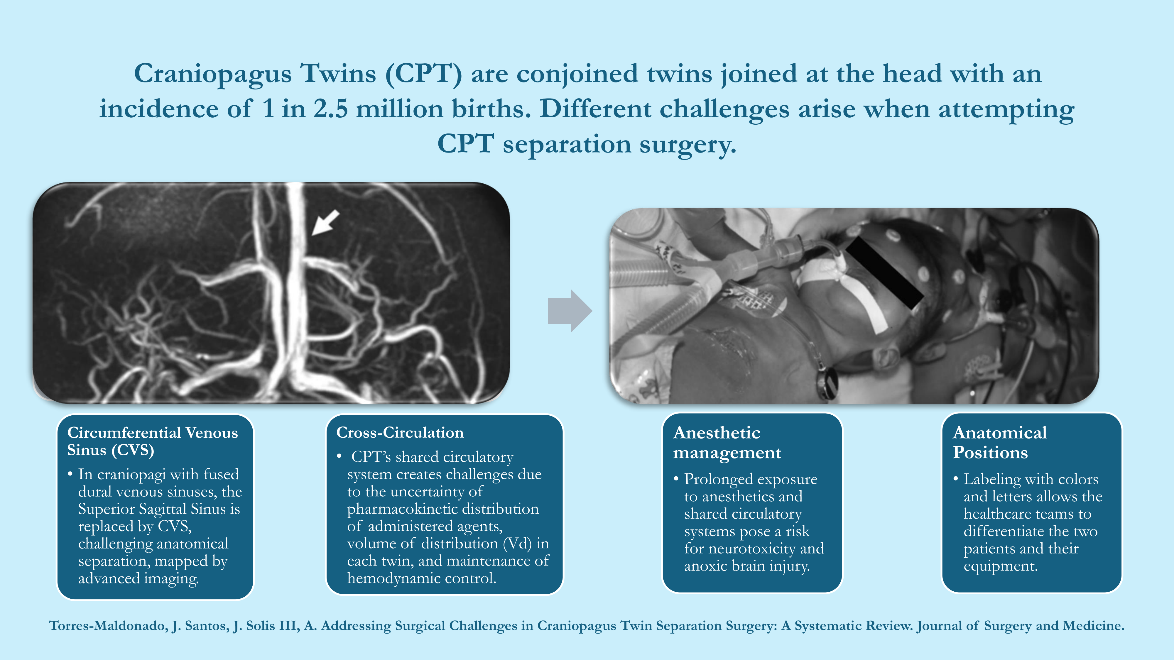 Graphical Abstract
