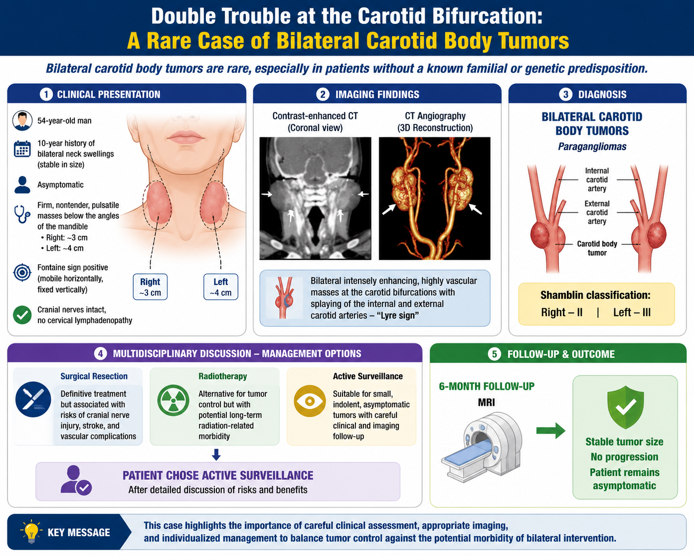 Graphical Abstract
