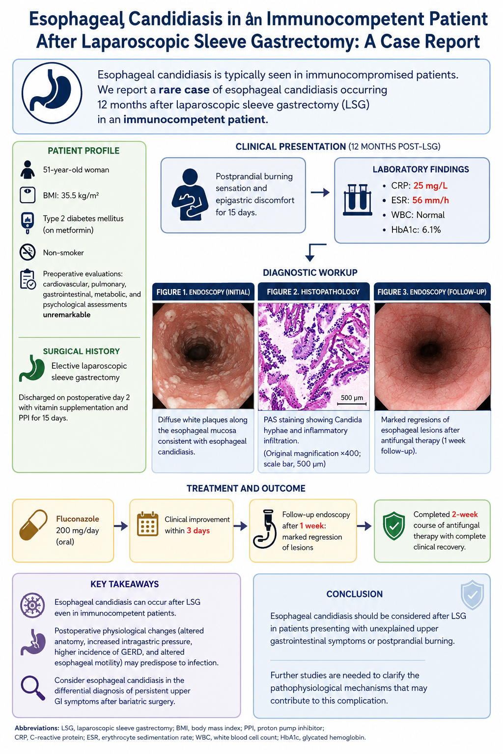 Graphical Abstract