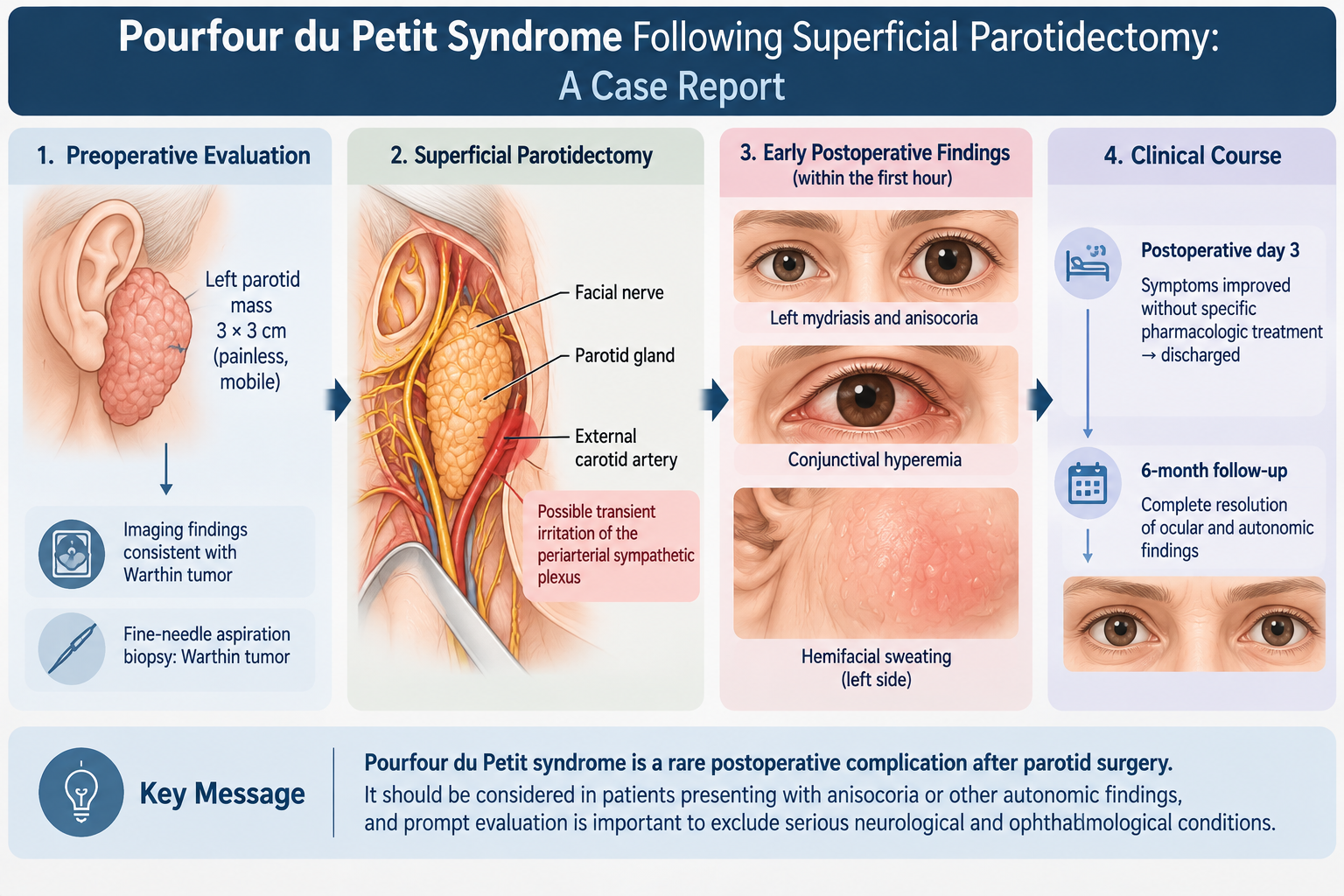 Graphical Abstract